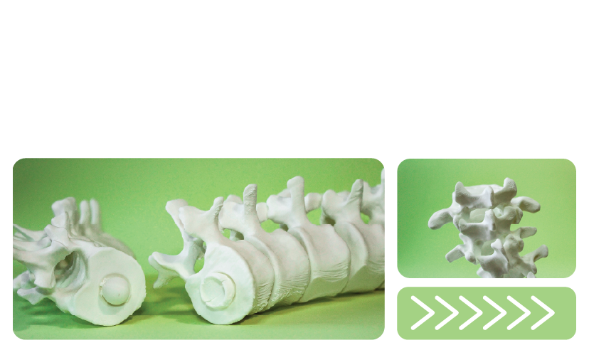 Proyectos